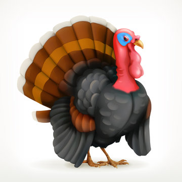 Turkey, vector icon