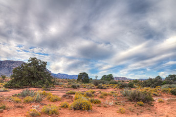 AZ-Grand Canyon National Park-North Rim-Toroweep area.  This image was captured in the early morning hours.