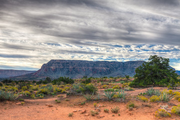 AZ-Grand Canyon National Park-North Rim-Toroweep area.  This image was captured in the early morning hours.