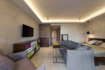 Obraz na płótnie Canvas Apartment interior, living room and bedroom