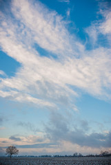 Obraz premium blue sky