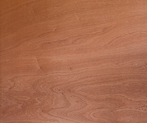 Obraz premium Drewniana faktura forniru abstrakcyjny naturalny wzór słojów na tło