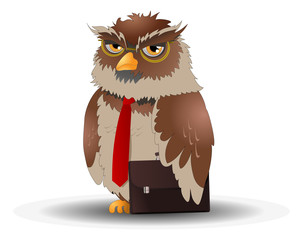 business owl pose  on isolated white background