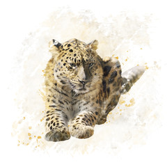 Leopard Portrait Watercolor