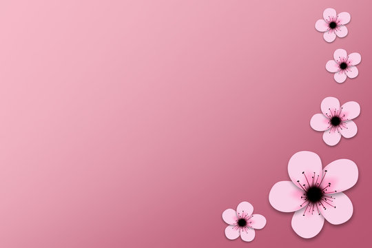 Cherry Blossom On Pink Background