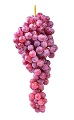 grape isolated on white