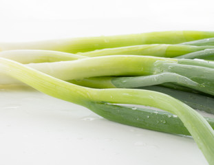 Frühlingszwiebeln auf weißem Hintergrund