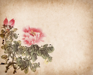 peony flower,Traditional chinese ink and wash painting