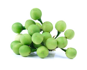 thai eggplant on white background