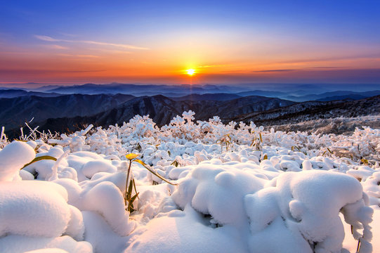Fototapeta Beautiful sunrise on Deogyusan mountains covered with snow in wi