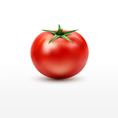 vector tomato isolated on white background