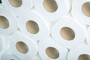 Toilet paper rolls isolated