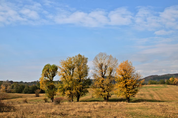 Fototapeta na wymiar Colorful autumn landscape. Nature background
