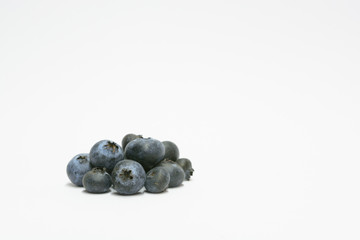 blueberries with a white background