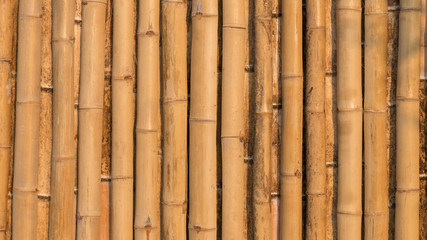 bamboo texture pattern backgroung