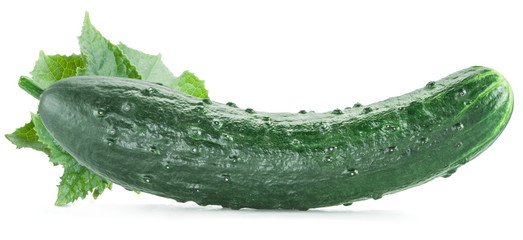 Cucumbers on the white background.