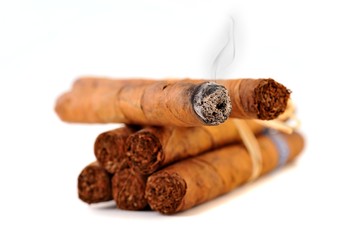 Smoking havana cigar on a white background.
