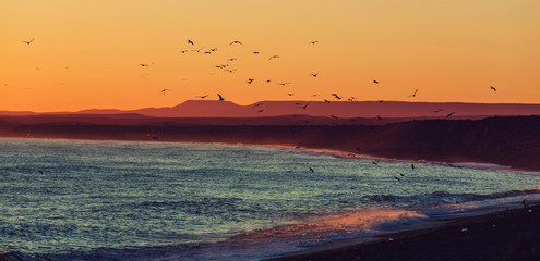 Obraz premium Argentina coast