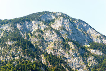 Fototapeta na wymiar Mountain with green trees