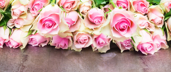 Altrosa Rosen, Banner zum Valentinstag