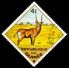 REPUBLIQUE DE GUINEE - CIRCA 1976: A stamp printed in Republique de Guinee shows Kobus defassa, series animals, circa 1976