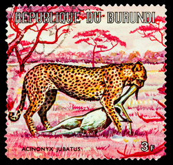 BURUNDI - CIRCA 1973: A stamp printed in Burundi shows Animal World of Africa, series, circa 1973