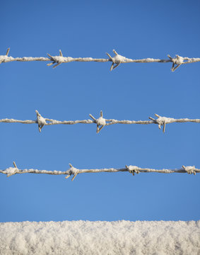 Barbed wire in winter. The snow and frost is covering the metal wire. Image taken against a blue sky.