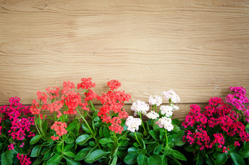 Wood background with flowers