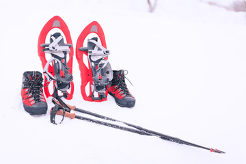 snowshoes in the snow.