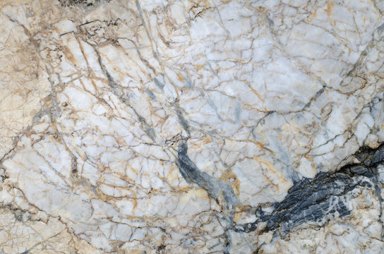 Limestone tuxture background