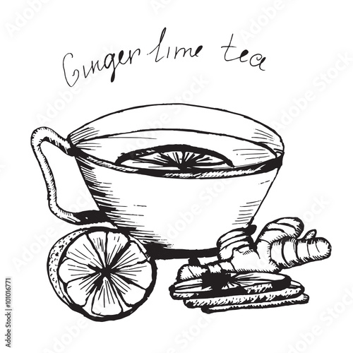 Hand draw vector sketch. Illustration cup of tea with