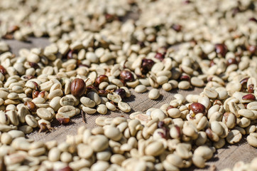 surface of the coffee beans