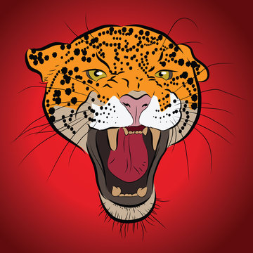 Vector illustration of puma's head. Jaguar aggressive portrait.