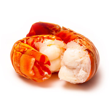 Cooked tropical Caribbean lobster (Panuliirus argus) or spiny lobster tails 