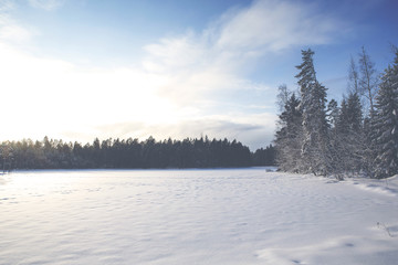 A wintry landscape shot from Finland. Image taken during a beautiful winter day. Sun is up and the sky is blue. Image has a vintage effect applied.
