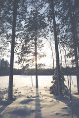 A winter landscape from Finland. Image taken on a sunny winter day in Finland by the lake. Some trees are in the front and forest in the background. Image has a vintage effect applied.