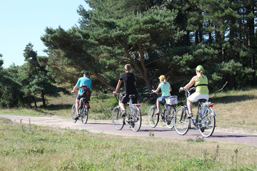 Fototapeta premium fietsen in duinlandschap