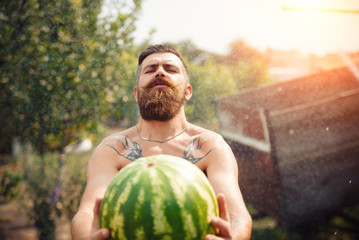 Naklejka na ściany i meble bearded man without clothes with a big juicy ripe watermelon in hands on a background of flowering garden illuminated by bright sunshine