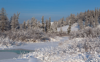 winter landscape with a creek