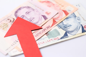 Appreciation of the Singapore dollar