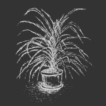 House plant in flower pot isolated on dark gray background. Palm tree ink sketch. Hand-drawn design elements. Chalkboard imitation.  Black and white vector illustration.