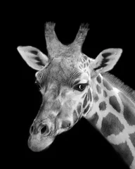 Crédence de cuisine en verre imprimé Girafe Portrait de girafe noir et blanc