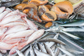 Fresh fish at the market