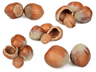 Haselnüsse, Collage 