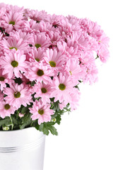 Bouquet of Chrysanthemums