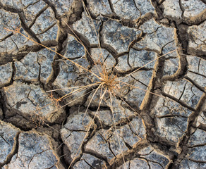 Land with dry, cracked ground and Dry grass.