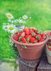 Fresh summer strawberrys