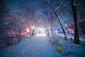 Foto op Plexiglas Winter Winterlandschap, nachtsteegje met bankje. Mooi licht en sfeer. Het pad creëert diepte in dit beeld, waardoor het oog van de kijker de scène in kan gaan. Winterwonderland, leuke sfeer en kleuren.