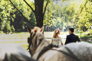 Fototapeta premium Fairy tale happy wedding couple walking in the park with horses