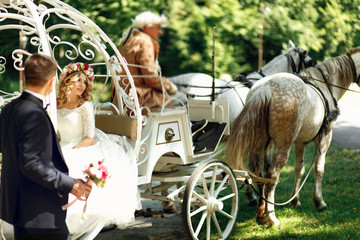 Fairy-tale cinderella wedding carriage and horse magical wedding